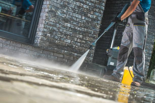 Animal Enclosure Cleaning in Oakdale, NY
