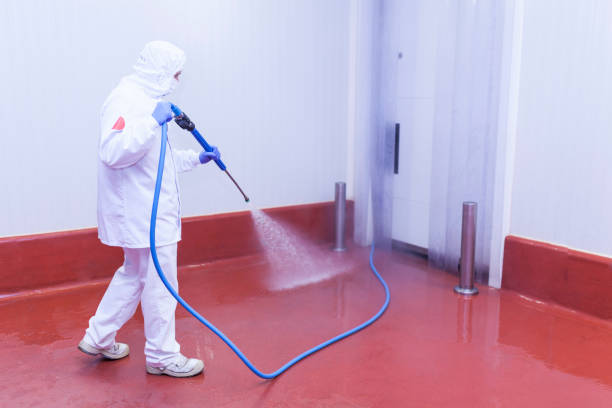 Best Playground Equipment Cleaning  in Oakdale, NY